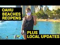 Waikiki Beach Reopens + Local Updates