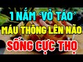 Tuổi Già, Cứ ĂN &quot;VỎ TÁO&quot; CÙNG THỨ NÀY Chữa Tỷ Bệnh, MÁU THÔNG LÊN NÃO, NGỦ NGON, SỐNG RẤT THỌ