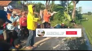 story wa merpati keren