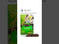Joe Rogan just exposed the truth about Girl Scout Cookies…. #FoodTruth #GirlScoutCookies