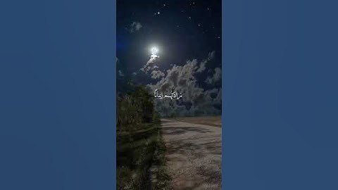 #قران كريم #راحة_نفسية ✨️ احترام القران الكريم دقيقه ❤️ اكتب يا رب في التعليقات ❤️