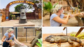 Monkey Park Zoo TenerifeFull Experience!