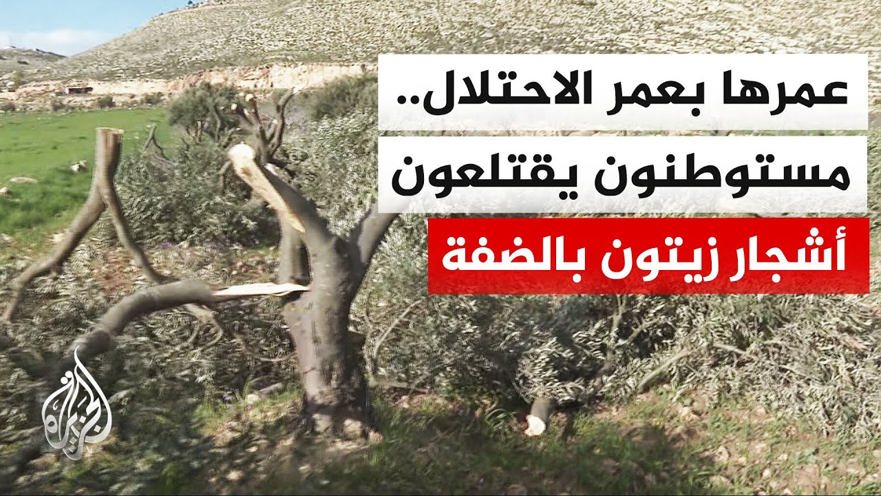 ���� ��� �� ��� ������ ���������.. �������� ������� 20 ���� ����� ����� ���� ��� ����
 - نشر قبل 15 دقيقة