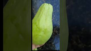 Chayote: ¡El Superalimento Escondido Que Necesitas Empezar a Comer Hoy Mismo!