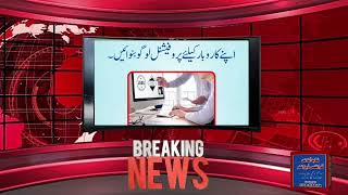 Shahid online Graphics Designer