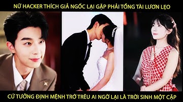 Nữ Hacker Thích Giả Ngốc Lại Gặp Phải Tổng Tài Lươn Lẹo Tưởng Trớ Trêu Ai Ngờ Lại Là Trời Sinh 1 Cặp