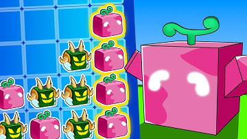 Blox Fruits BUT Connect 4 Decides Our Fruits, Then Battle!