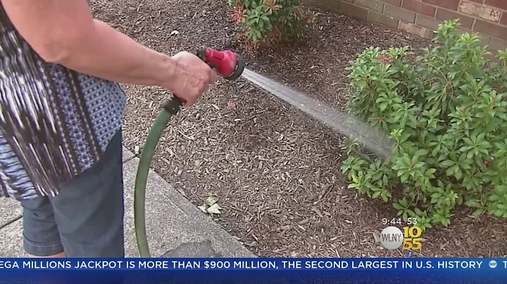 How To Protect Your Plants From Frost Damage