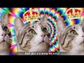 Cекрет энергии – Kitekat® (feat. Кот Борис)