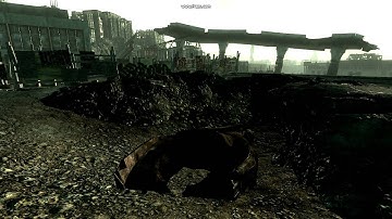 Fallout 3 screwing around.