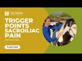 Trigger Points for Horses - Sacroiliac Pain