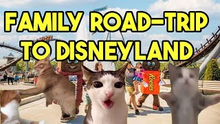 Cat Memes: Family Road Trip To Disneyland Cat Family Meme Part 1
