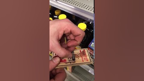Brian demos mouse trap
