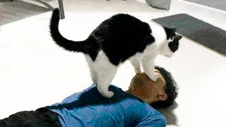 Funniest Cats And Dogs Videos😄- Best Funny Animal Videos 2023😂 #30