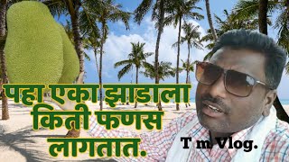 अग कट आत अमतच सठ Vlog .