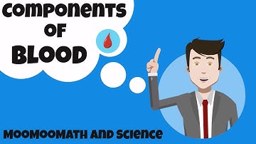 Components of Blood and their function