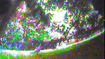 Saved by Turtle Mode