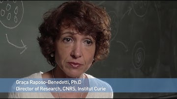 Curiosity and a Passion for Science (Episode 4)