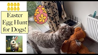 Easter Egg Hunt for Dogs 🐾 by Watson the Warrior 240 views 1 year ago 4 minutes, 34 seconds