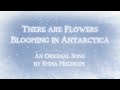 There are Flowers Blooming in Antarctica - An Original Song by Emma Meldrum (me!)