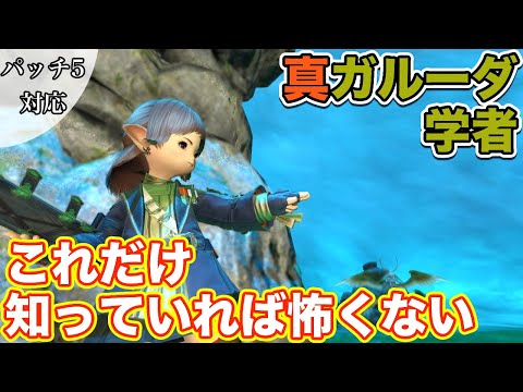 【FF14】真ガルーダに学者(ヒーラー)で挑戦【これだけ知っていれば怖くないヒーラー編 2021年版】