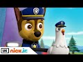 PAW Patrol | It's Freaky Pup-Day! | Nick Jr. UK