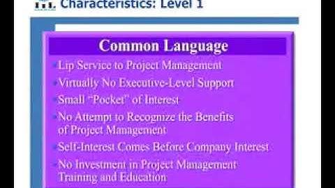 Understanding Project Management Maturity Models