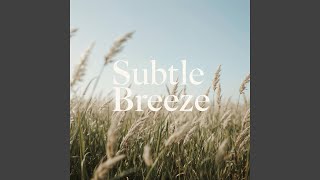 Lifted by the Breeze