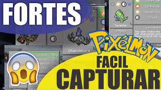 Pokémon GO - Onde capturar Pokémons de cada tipo para completar sua coleção  - Critical Hits