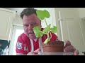Ready to plant outside