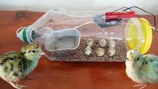 How To Make Water Bottle egg incubator