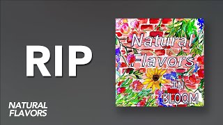 Video voorbeeld van "Natural Flavors - RIP (In Bloom)"