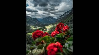 Ümit Özmen - Ezman (Zindî)