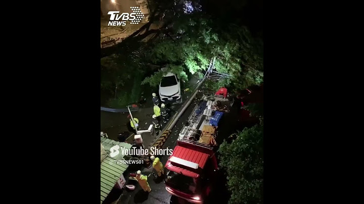 【康芮颱風】北市入夜颳強風!內湖文德路22巷樹木 電線桿遭吹倒　民眾目擊警消救援