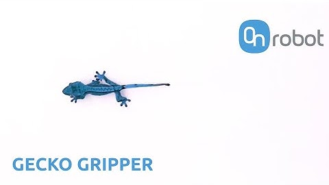 Origins of the Gecko Gripper