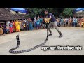                  king cobra rescue