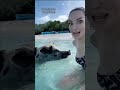 The Bahamas Besic idea about the country you should know #shorts