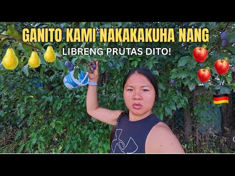I Can’t Believe All This Is Free in German Countryside Shocking Filipina experience!