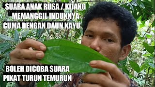 SUARA PIKAT ANAK RUSA / KIJANG MEMANGGIL INDUKNYA #yendry fishing