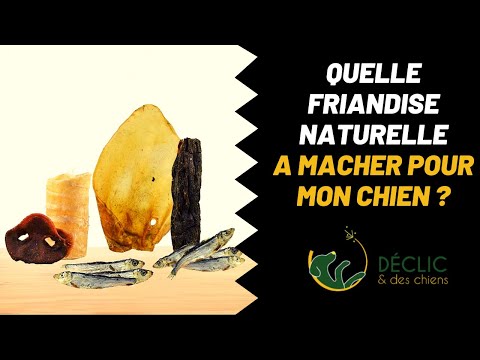 Vidéo: Rappel Des Friandises Pour Chiens Jones Natural Chews Avec Oreilles De Porc