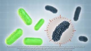 Plexus XFactor Plus