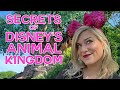 The best kept secrets of disney worlds most popular rides disneys animal kingdom