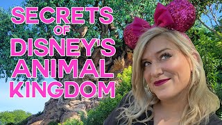 The BEST Kept Secrets Of Disney World's Most Popular Rides: Disney's Animal Kingdom