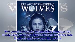 [Breaking News]The widow of the Eagles guitar Frey event NYC hospital for wrongful death Net Worth