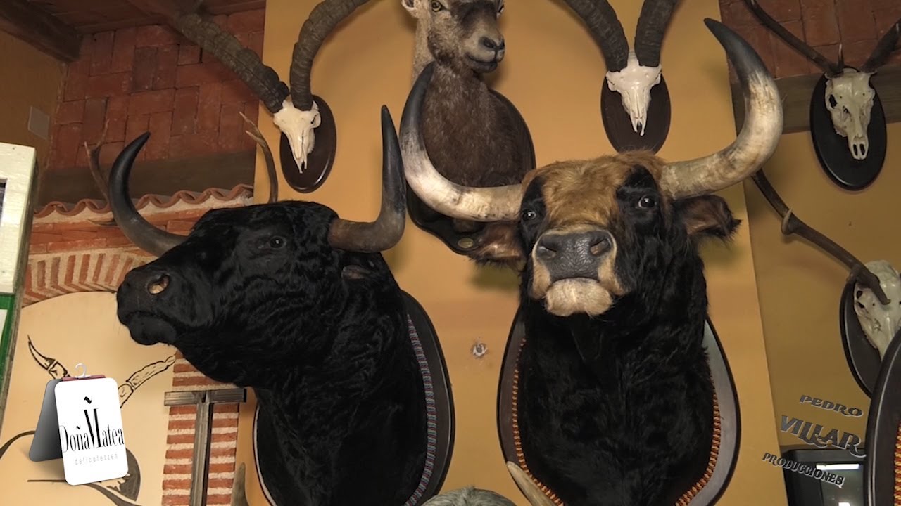 Taxidermista, José Luis Martín