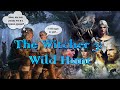 Первое прохождение #3 The Witcher 3: Wild Hunt