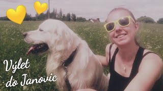 Psí vlog | Benderův den