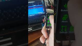 Willy beta #replayattack #rolljam #flipper #rollback #sdr #lillygo