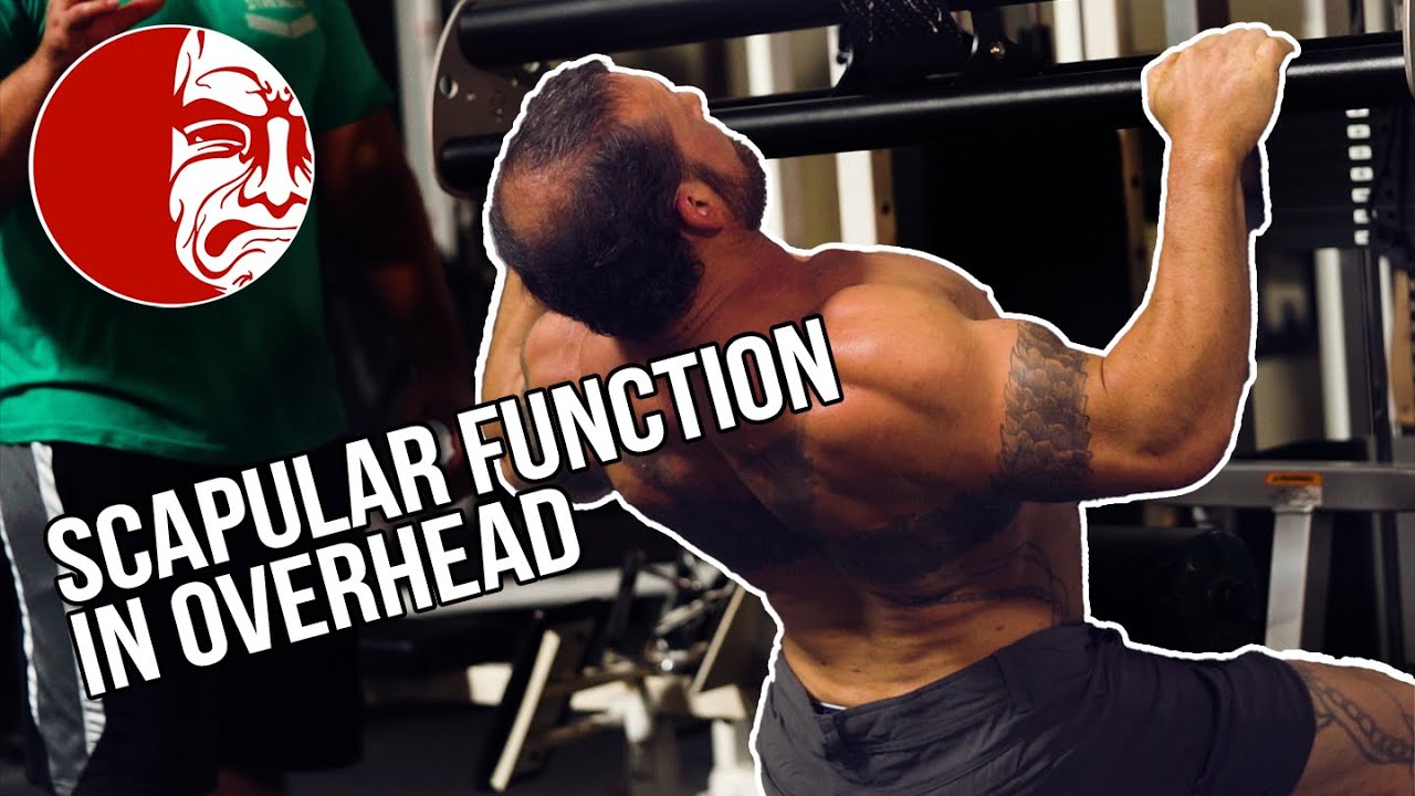 Understanding #Scapular Function in Overhead Pressing and #Rowing