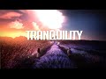 Tranquility | Chillstep Mix 2020 [2 Hours]